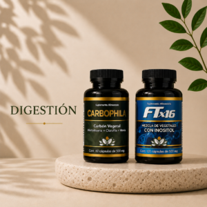 Digestión